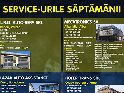 Service-urile lunii
